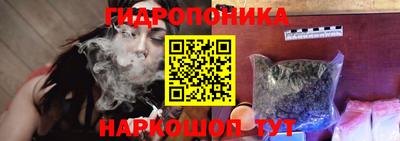 сатива Заволжье