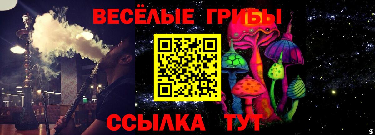 Псилоцибиновые грибы Cubensis  Вход с VPN  Жигулёвск 